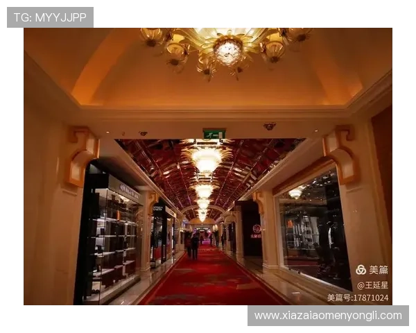 澳门四大贵宾厅的娱乐设施与休闲服务，体验不同贵宾厅带来的多样娱乐选择