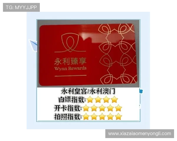 永利皇宫官网注册登录流程优化建议,提升用户体验的实用技巧