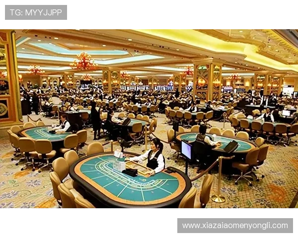 澳门十大顶级赌场全攻略，带你了解最豪华的博彩体验与独特魅力