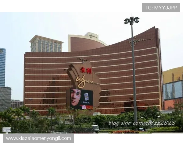 澳门永利集团网址官方入口导航，详细介绍各类登录方式与安全保障措施