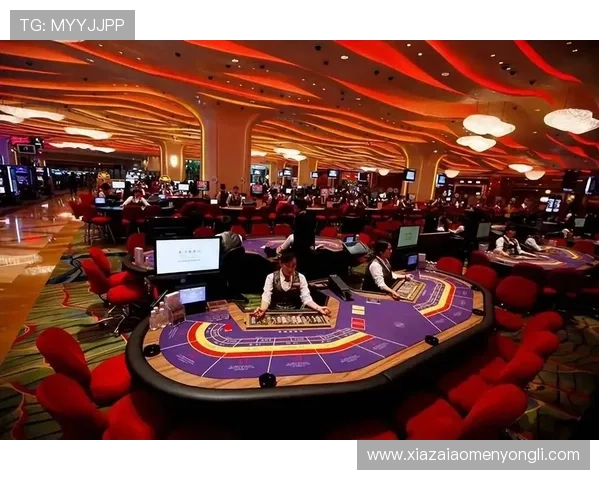 澳门赌场为什么合法的原因解析与法律依据详解