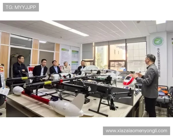 星际正规娱乐行业的市场规模与增长潜力分析，助力企业精准布局